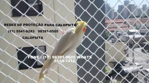 Telas de Proteção na Aclimação a sua melhor colocação  603716