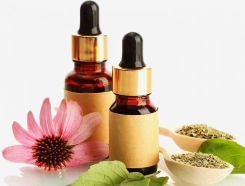Terapeuta Integrativa 757057