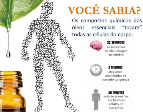 Terapeuta Integrativa 757058