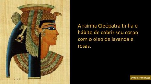 Terapeuta Integrativa 757059