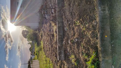 Terreno  754258