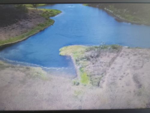 Terreno á venda 7ha em São José Carpinape. 775731