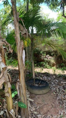Terreno a Venda Em Paraibuna - o Refugio Perfeito Para Sua Casa Ou Chácara  751459