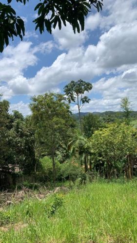 Terreno a Venda Em Paraibuna - o Refugio Perfeito Para Sua Casa Ou Chácara  751461