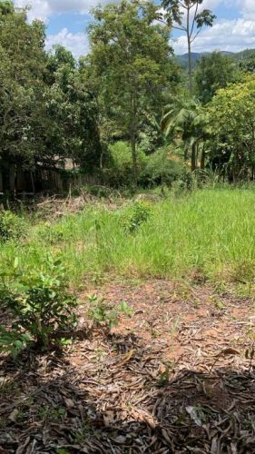Terreno a Venda Em Paraibuna - o Refugio Perfeito Para Sua Casa Ou Chácara  751462