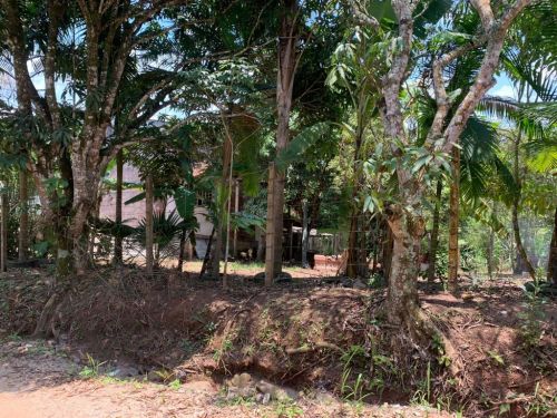 Terreno a Venda Em Paraibuna - o Refugio Perfeito Para Sua Casa Ou Chácara  751463