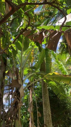 Terreno a Venda Em Paraibuna - o Refugio Perfeito Para Sua Casa Ou Chácara  751464