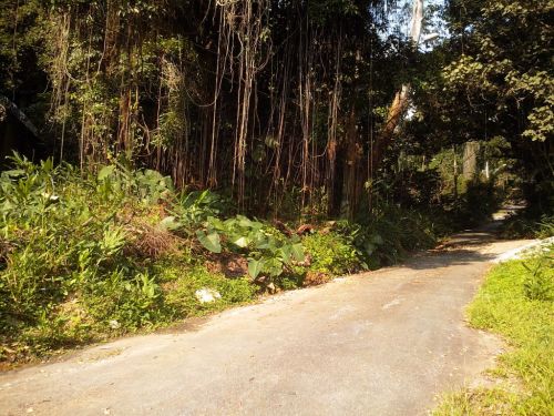 Terreno de 604m2 no condomínio Praia Vermelha em frente ao Sete Praias 625148