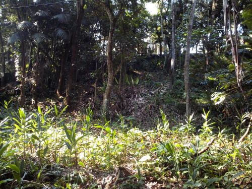 Terreno de 604m2 no condomínio Praia Vermelha em frente ao Sete Praias 625150