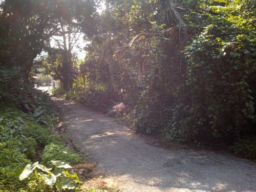 Terreno de 604m2 no condomínio Praia Vermelha em frente ao Sete Praias 625151