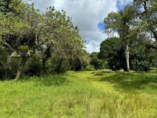 Terreno Em Aldeia – Camaragibe - Pe 769777