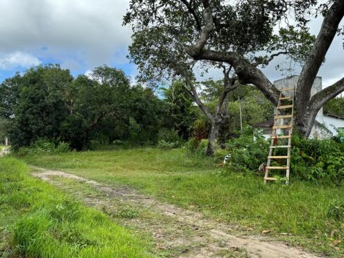Terreno Em Aldeia – Camaragibe - Pe 769785
