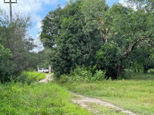 Terreno Em Aldeia Camarajide - Pe 766504