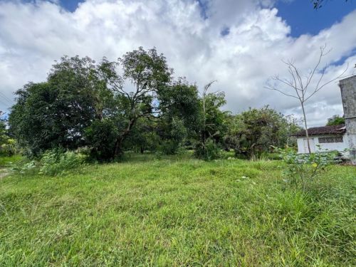 Terreno Em Aldeia Camarajide - Pe 766505