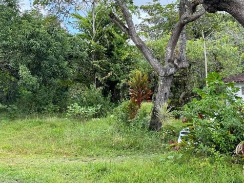 Terreno Em Aldeia Camarajide - Pe 766508