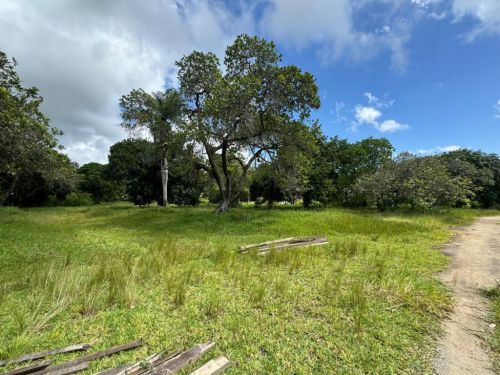 Terreno Em Aldeia Camarajide - Pe 766511