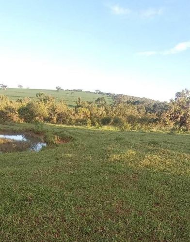 Terreno na divisa de Igarapé com Mateus Leme 20.000m2 com muita água 760009 Terreno na divisa de Igarapé com Mateus Leme 20.000m2 com muita água 760009