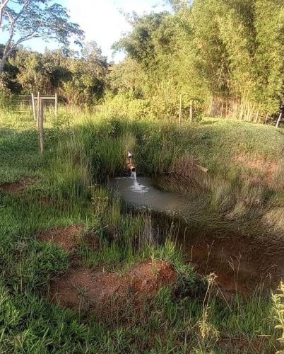 Terreno na divisa de Igarapé com Mateus Leme 20.000m2 com muita água 760013 Terreno na divisa de Igarapé com Mateus Leme 20.000m2 com muita água 760013