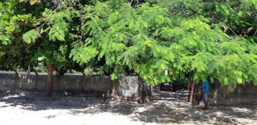 Terreno na Lagoa Redonda  para sítio galpões ou unidades residenciais. 667590