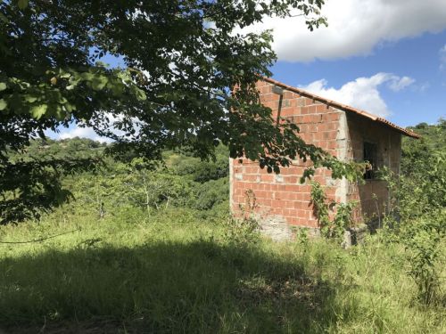 Terreno Para Chácara com Chalé em Construção. 755707