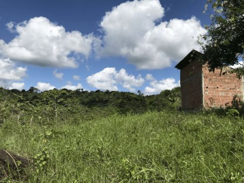 Terreno Para Chácara com Chalé em Construção. 755710