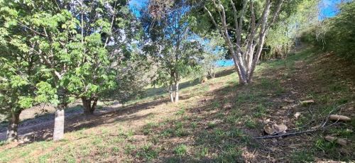 Terrenos a venda no Vale das Videiras - Petrópolisrj  785951