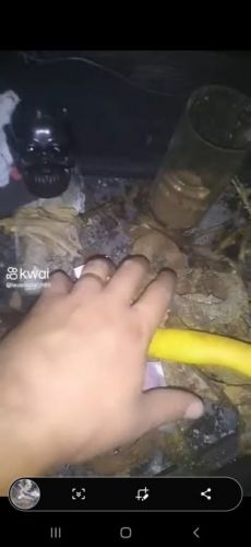Trabalho de magia negra   750804