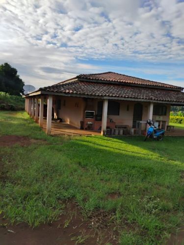 Vendo 8 Alqueires Tratorável Com Casa Sede 752225