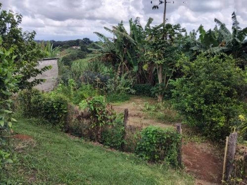 Vendo 8 Alqueires Tratorável Com Casa Sede 752230
