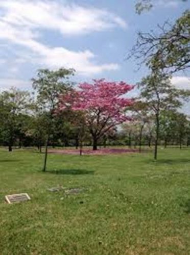 Vendo Jazigo Cemitério Parque das Flores Campinas 770489 Vendo Jazigo Cemitério Parque das Flores Campinas 770489