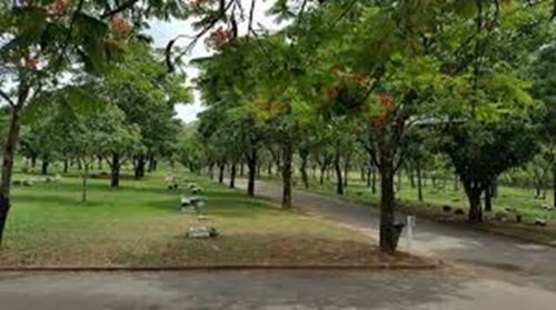 Vendo Jazigo Cemitério Parque das Flores Campinas 770490 Vendo Jazigo Cemitério Parque das Flores Campinas 770490