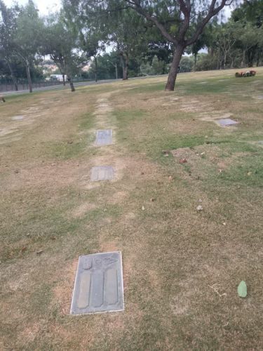 Vendo Jazigo Cemiterio Parque dos Flamboyants Campinas 754274