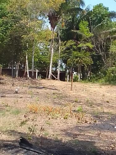 Vendo lindo sítio pronto para uso com Igarapé 751715
