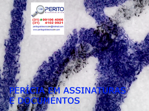 Verificação Da Falsidade Veracidade De Assinaturas e Documentos 749951