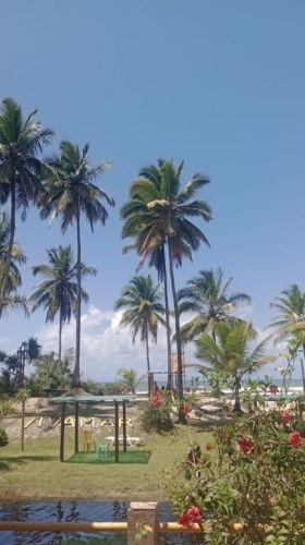 Village Tropical Vivamar – Chalés em Olivença Jairi 767894 Village Tropical Vivamar – Chalés em Olivença Jairi 767894