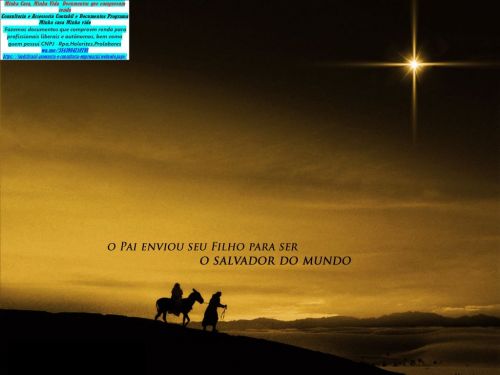 Vivasorte Oficial Paraná4210795 https: 773670