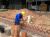 Construção Pintura E Reforma