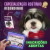 Curso: Especialização Rostinho Redondo.