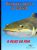 E-Book Dicas Para Pesca De Catfish