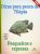 E-Book Dicas Para Pesca De Tilápias
