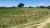 Fazenda Em Araruama Com  52 Alqueires .