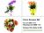 Floricultura São José Da Lapa Mg Flora Flores Online Buquês Cesta De Café Rosas E Coroa De Flores São José Da Lapas Mg 