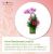 Floricultura Sete Lagoas Mg Entrega Flores Para Presente Cesta De Café E Coroa De Flores Em Condomínio Sete Lagoas  