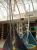 Locacao Aluguel Bungee Trampolim