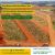 Terrenos De 187M² - Jardim Tropical Em Salto Sp